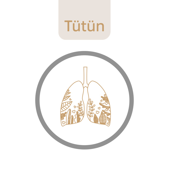 Gri bir çember içine alınmış çizimde kahverengi akciğerler var.  Akciğerler, nefes borusunun aşağısında sağda ve solda yer alıyor. İçlerindeki bronşları simgeleyen yapraklarla dalların arasında minik kalpler kondurulmuş. Çemberin üzerinde kahverengiyle “tütün” yazıyor.
